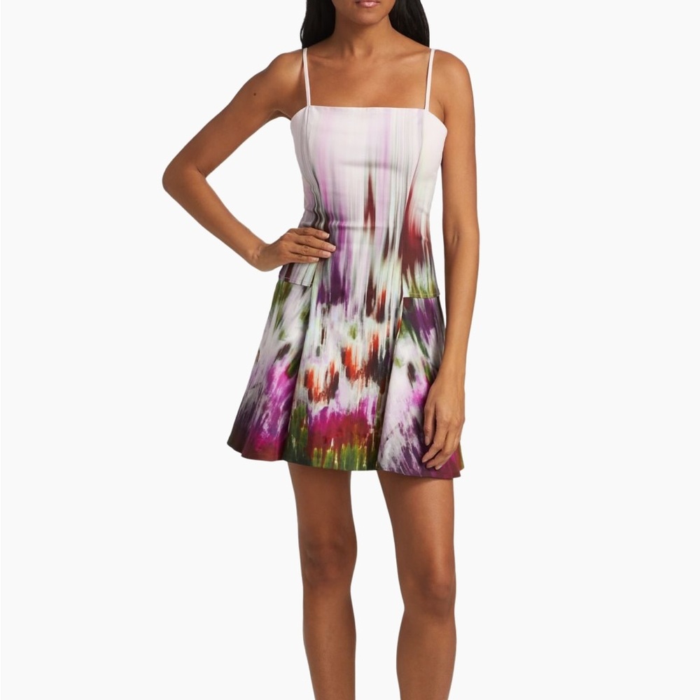 Simkhai Judie Printed A-Line Mini Dress
